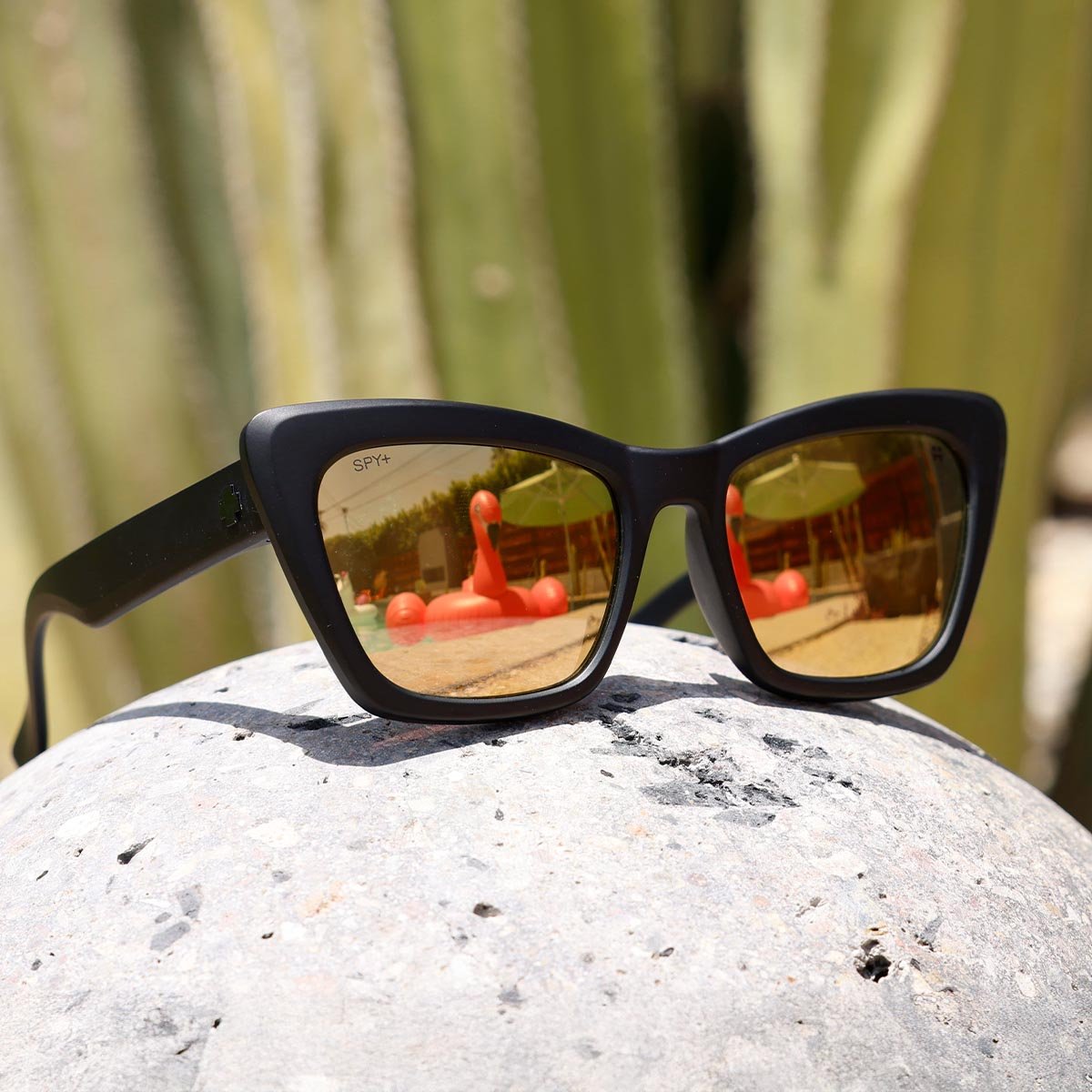 SURF CAT, , horizontal-gallery